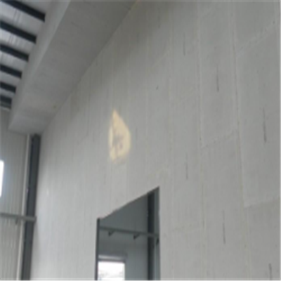 哪里宁波ALC板|EPS加气板隔墙与混凝土整浇联接的实验研讨